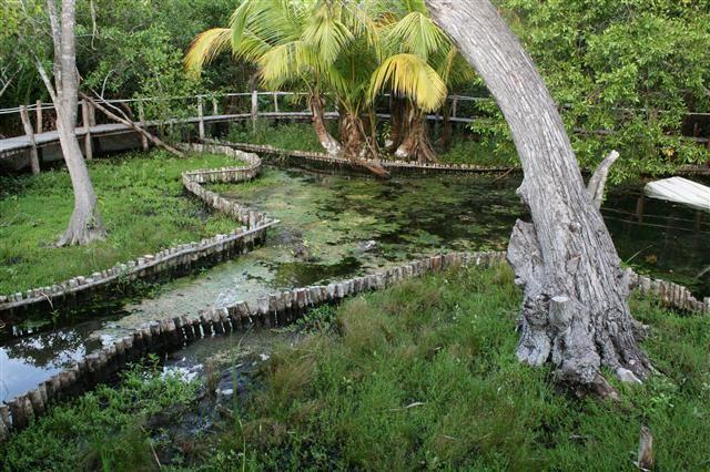 Casa Laguna Lagartos Otel Río Lagartos Dış mekan fotoğraf